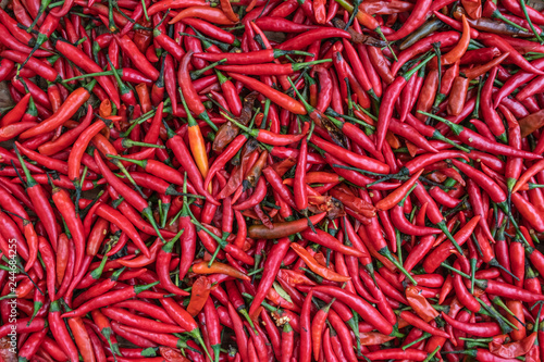 Red hot chili peppers drying in the sun
