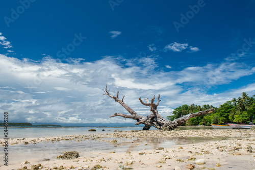 Quadro em tela Beach by duke of york islands