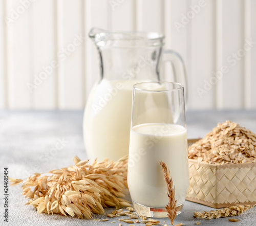 The concept of a vegetarian diet. Oat milk in the glass with jug of oat milk and oat and oat ears.
