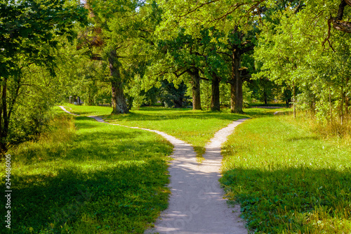 The wide pedestrian track in the park is divided into two, dispersing in different directions