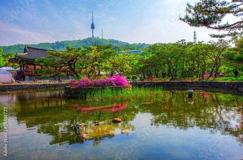 Namsangol hanok traditional village in spring at seoul south Korea 