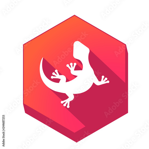 Fototapeta Naklejka Na Ścianę i Meble -  ikona z długim cieniem na tle sześcioboku 