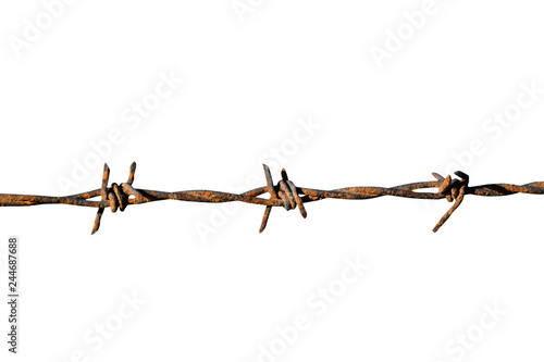 Wallpaper Mural barbed wire isolated Torontodigital.ca