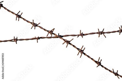 barbed wire isolated