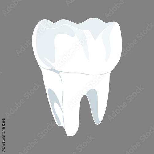 White tooth 3D render. Dental, medicine and health concept design