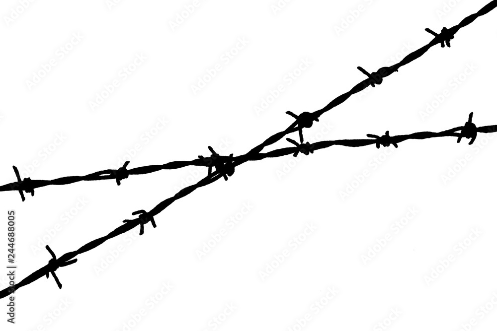 barbed wire isolated