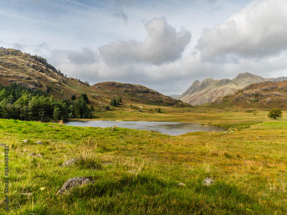 Fototapeta premium Langdale Pikes and Blea Tarn in Lake District, UK