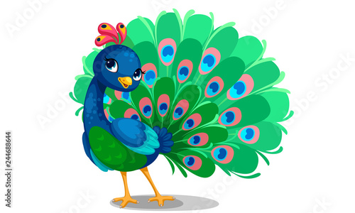 Beautiful peacock