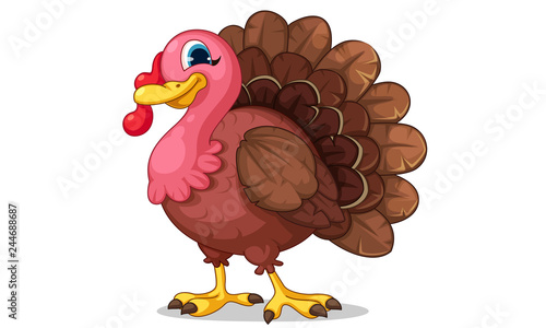 Beautiful turkey cartoon vector illustration