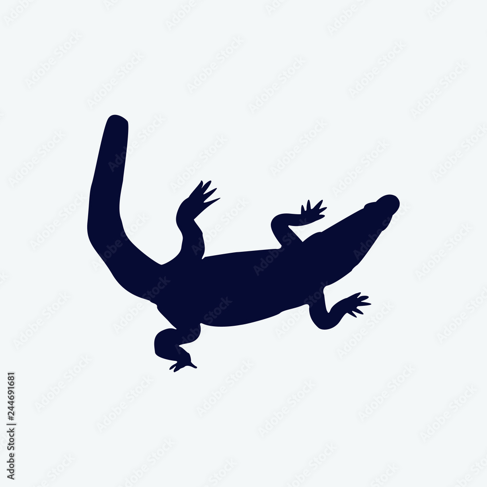Vector silhouette of a crocadile on a white background.
