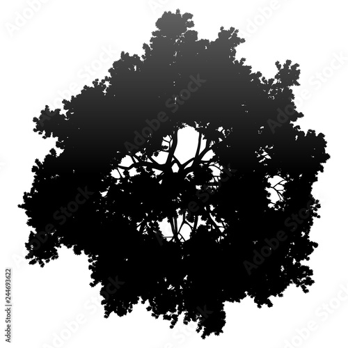 Tree top silhouette isolated - black gradient detailed - vector