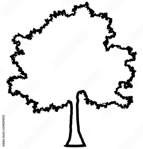Tree profile silhouette isolated - black outlined detailed - vector