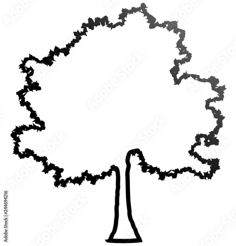 Tree profile silhouette isolated - black outlined gradient detailed - vector