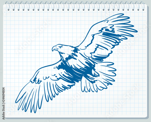 Eagle in flight - Vector