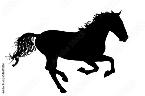 Elegant horse in gallop, vector silhouette illustration. Horse race, isolated on white background. Symbol of beautiful animal.