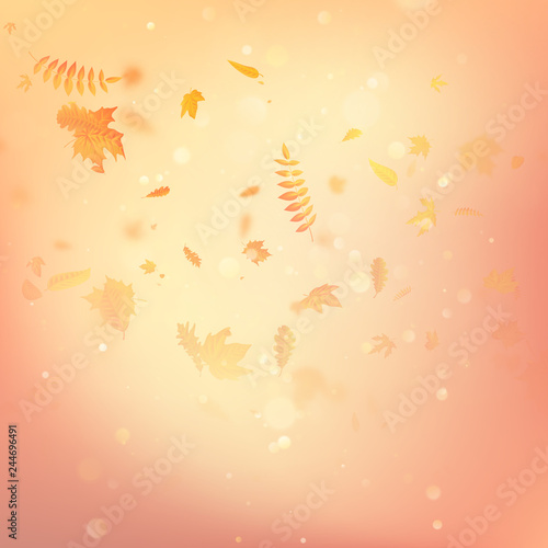 Autumn background with leaves. Back to school template. EPS 10