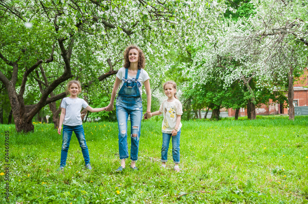 Obraz premium Family walks in blooming apple orchard in spring