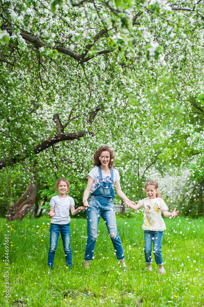 Family walks in blooming apple orchard in spring