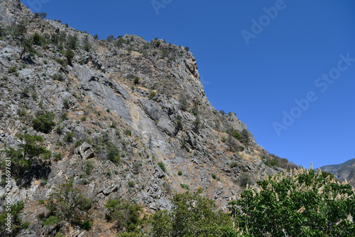 Fototapeta Naklejka Na Ścianę i Meble -  Gray rocks in Kings Canyon National Park, California, USA