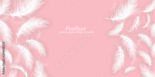 Feathers background Vector realistic. White feathers on pink card templates