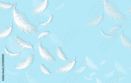 Feathers background Vector realistic. White feathers on blue card templates