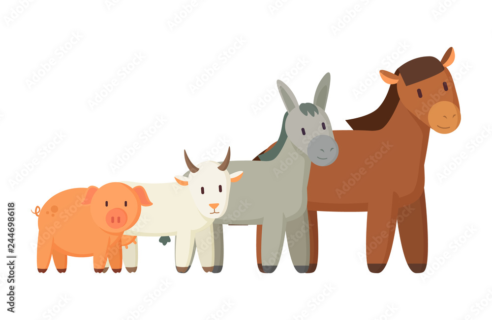 Set of Domestic Pets Isolated on White Backdrop Set of Domestic Pets Isolated on White Backdrop