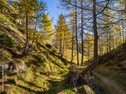 Hiking Path to Crampiolo in Alpe Veglia and Alpe Devero Natural Park