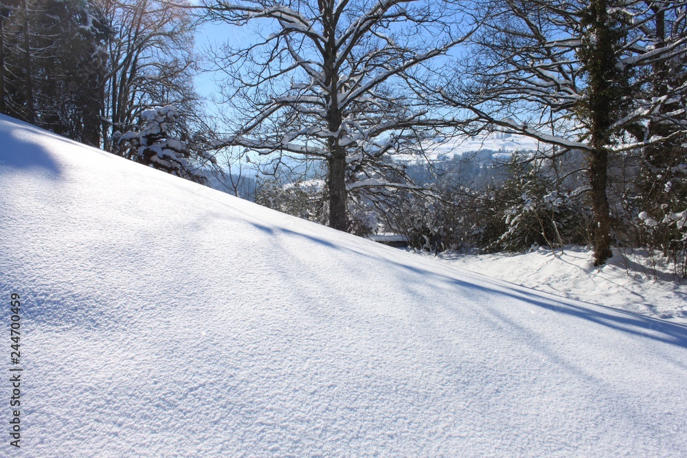 Obraz premium Schneehang