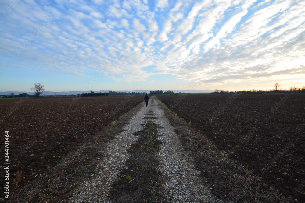Naklejka premium El campo listo para la siembra, Francia
