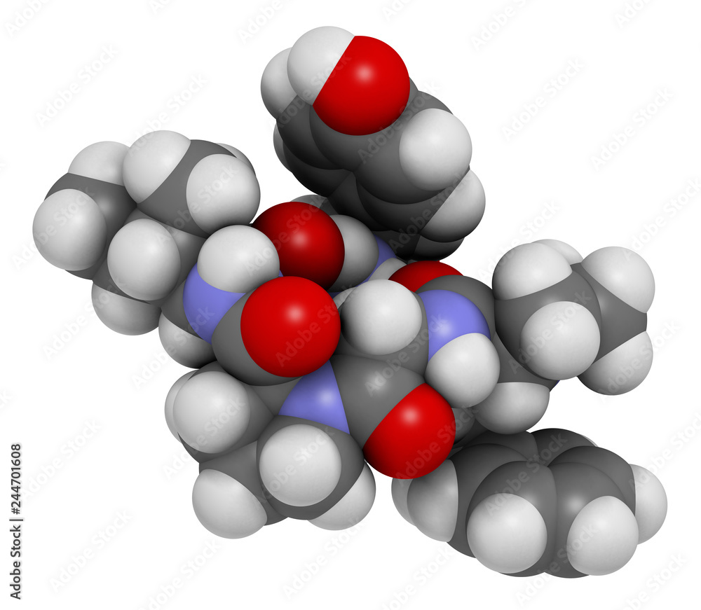 Beta-casomorphin peptide 7 molecule. Breakdown product of casein that may play a role in human diseases. 3D rendering. Atoms are represented as spheres with conventional color coding. Beta-casomorphin peptide 7 molecule. Breakdown product of casein that may play a role in human diseases. 3D rendering. Atoms are represented as spheres with conventional color coding.