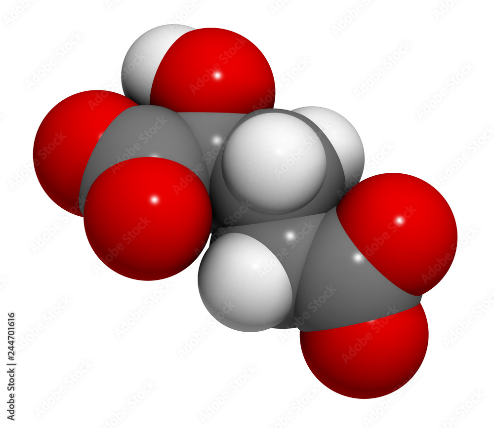 2-hydroxyglutarate molecule. 3D rendering. Atoms are represented as spheres with conventional color coding: hydrogen (white), carbon (grey), oxygen (red). 2-hydroxyglutarate molecule. 3D rendering. Atoms are represented as spheres with conventional color coding: hydrogen (white), carbon (grey), oxygen (red).
