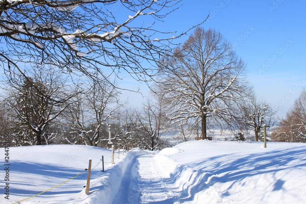 Obraz premium Winter_Weg