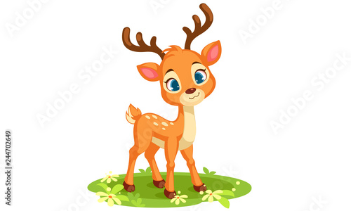 Cute baby deer looking at front