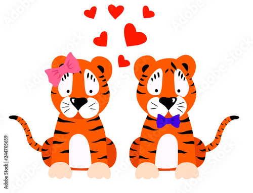 Fototapeta Naklejka Na Ścianę i Meble -   vector illustration of a pair of tigers valentines day