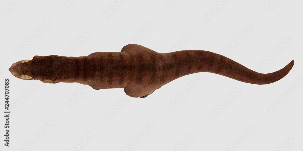 Extremely detailed and realistic high resolution 3d illustration of a T-Rex Dinosaur isolated on white Background Extremely detailed and realistic high resolution 3d illustration of a T-Rex Dinosaur isolated on white Background