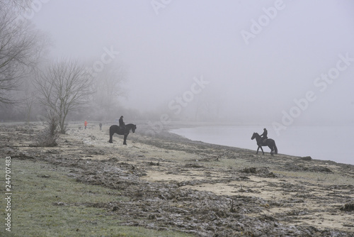 Fototapeta Naklejka Na Ścianę i Meble -  Nebel-Reiter an den Ufern der Ostsee in Mecklenburg