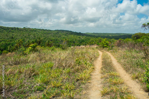 Countryside road on Itamaraca Island - Pernambuco, Brazil photo