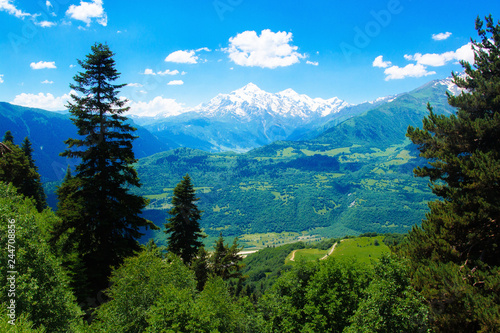 Alpine mountain landscape in spring. Swiss Alps. Green valley with snowy summit in Switzerland. © dzmitrock87