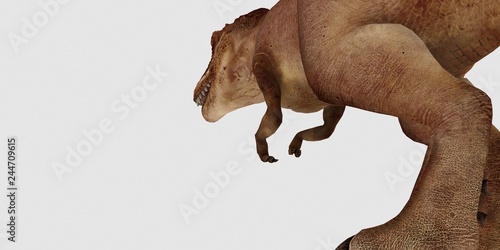 Extremely detailed and realistic high resolution 3d illustration of a T-Rex Dinosaur isolated on white Background