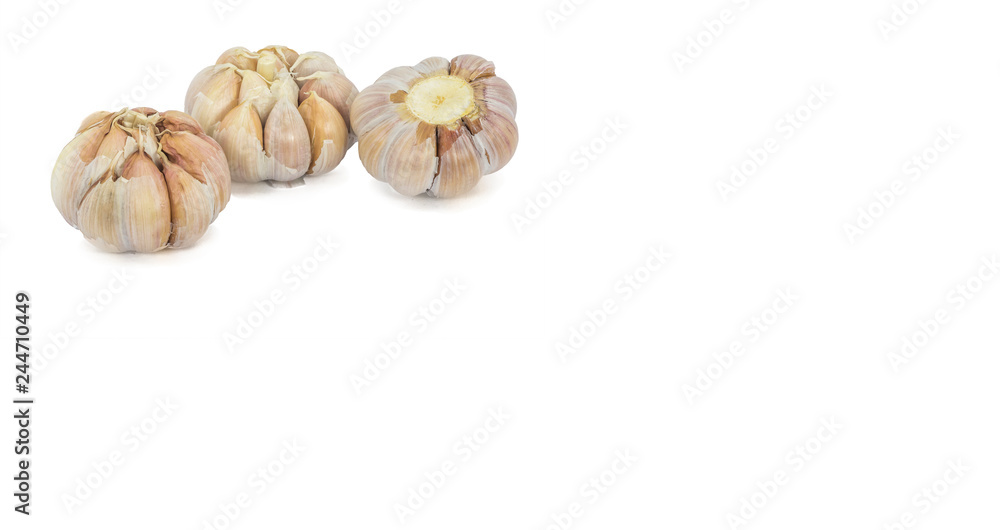 garlic isolated on white background. garlic isolated on white background.