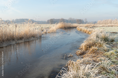 Small frozen river in the Dutch countyside on a winter morning.
