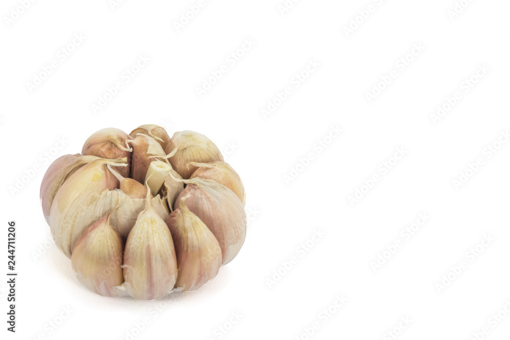 garlic isolated on white background. garlic isolated on white background.