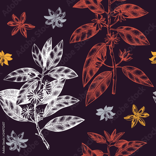 Seamless pattern with hand drawn badyane tree leaves, flowers and seeds. Vector background with true anise tree. Aromatic elements illustration.