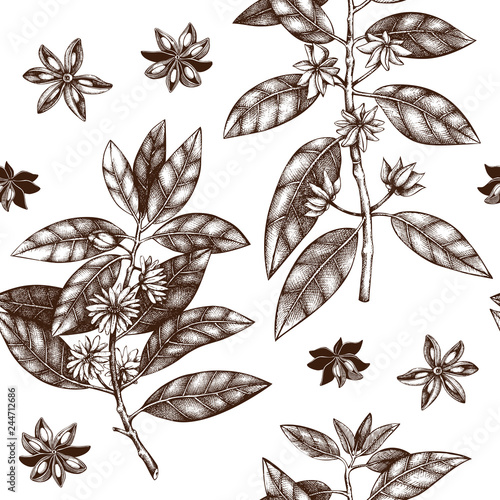 Seamless pattern with hand drawn badyane tree leaves, flowers and seeds. Vector background with true anise tree. Aromatic elements illustration.
