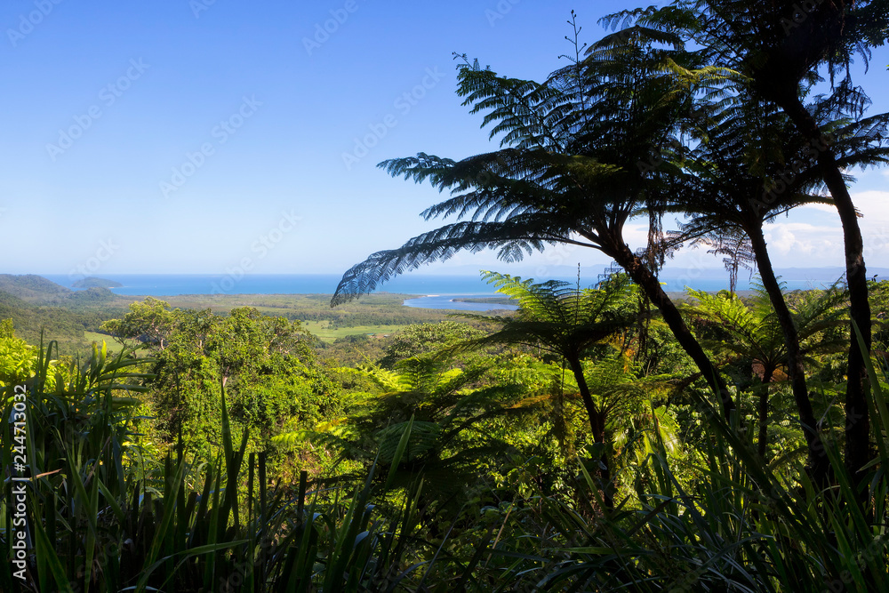 The Daintree River and coastline from Mt Alexandra Lookout in Tropical North Queensland, Australia