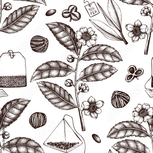 Vector background with hand drawn Chinese tea plant illustration. Decorative inking illustraion of Camellia sinensis in flowers and leaves. Botanical seamless pattern.