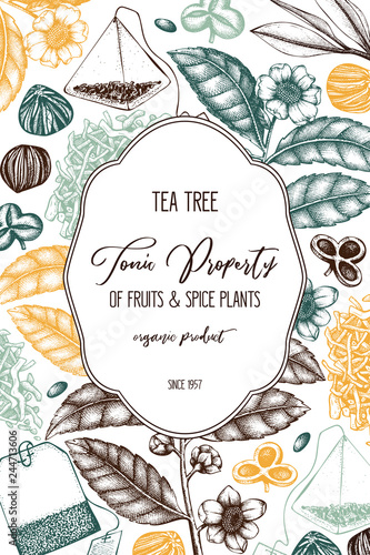 Vector design with hand drawn Chinese tea tree illustration. Decorative inking background with Camellia sinensis in flowers and leaves. Tonic plants vintage template on chalkboard.