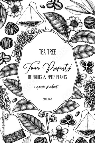 Vector design with hand drawn Chinese tea tree illustration. Decorative inking background with Camellia sinensis in flowers and leaves. Tonic plants vintage template on chalkboard.