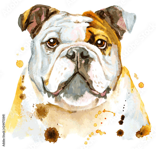 Cute portrait of white and brown bulldog. Vector illustration