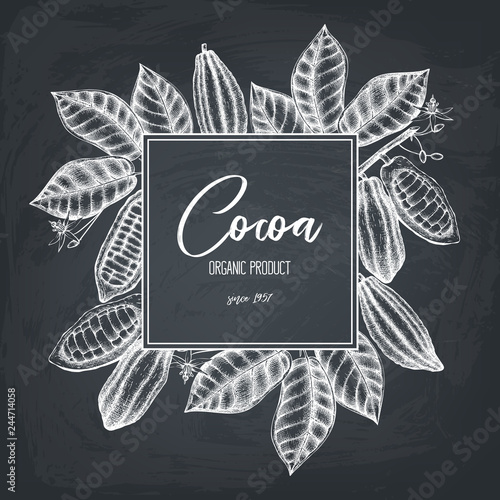 Vector Cocoa tree illustration. Vintage background with hand drawn with leaves, flowers, fruits and beans. Botanical pattern. Aromatic and tonic elements sketch.